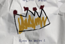 Slap Dee - Black Na White 2