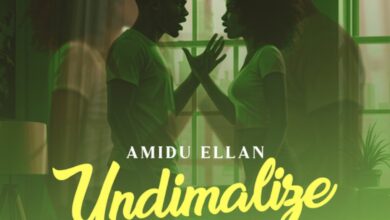 Amidu Ellan - Undimalize