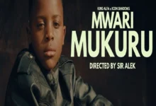 King Alfa Kadiki ft. Icon Shadows - Mwari Mukuru