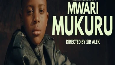 King Alfa Kadiki ft. Icon Shadows - Mwari Mukuru