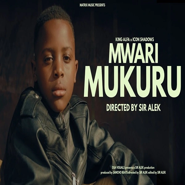 King Alfa Kadiki ft. Icon Shadows - Mwari Mukuru