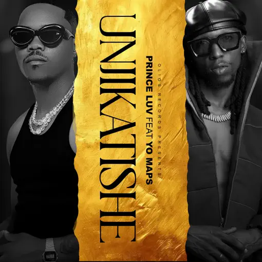 Unjikatishe