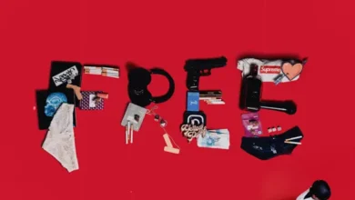 Nasty C - Free (Album)