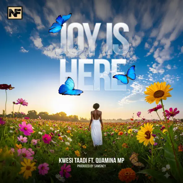 Kwesi Taadi - Joy Is Here