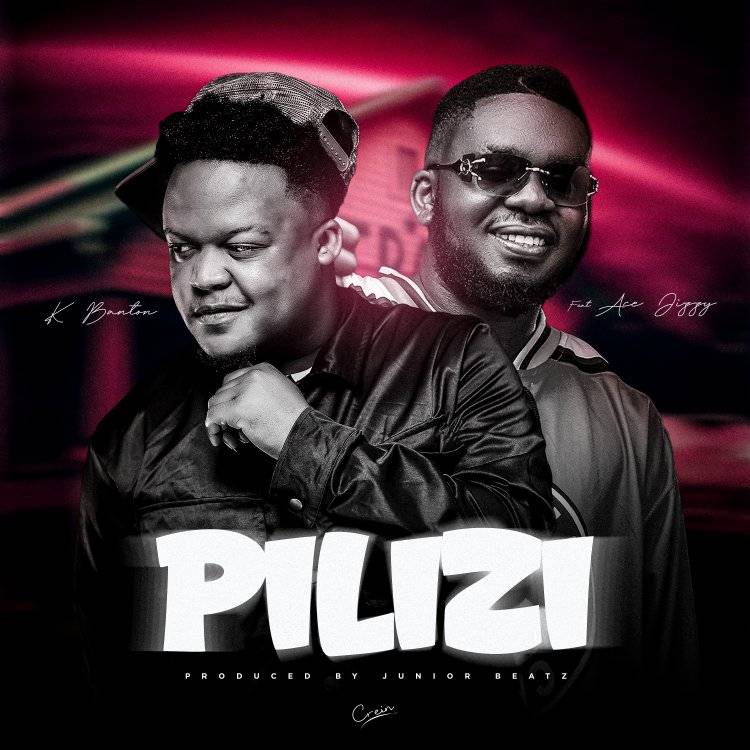 Pilizi
