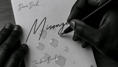 Mr. Zembani - Misozi