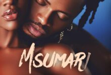 Diamond Platnumz - Msumari
