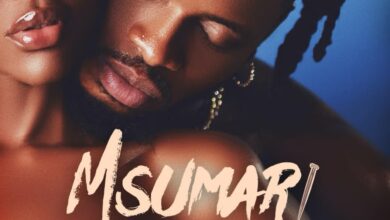 Diamond Platnumz - Msumari