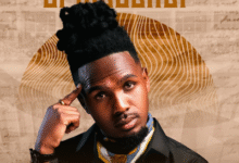 MusiholiQ – Umsebenzi