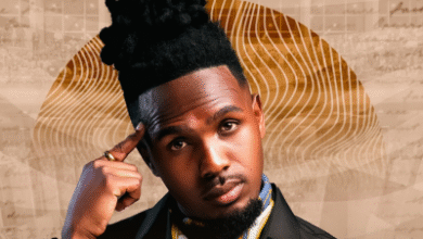 MusiholiQ – Umsebenzi