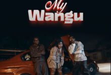 Lamapozz ft. Amber Lulu & Country Wizzy - My Wangu