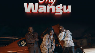 Lamapozz ft. Amber Lulu & Country Wizzy - My Wangu