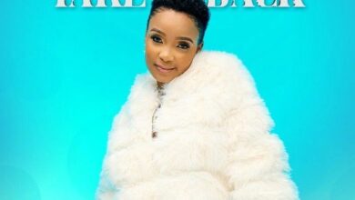 Paige, Zoli White Smoke & Dot Mega – Take It Back
