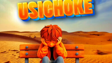 Stizo – USICHOKE