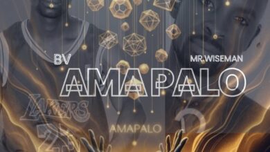 BV ft. Mr wiseman - Amapalo