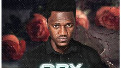 Bruce Amara - Cry Party