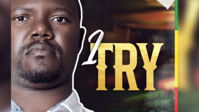 Julius Chisi - I Try