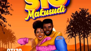 Stizo – Sio makusudi