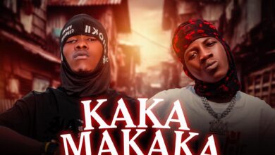 Shokii ft. Fly Jay - Kaka Makaka