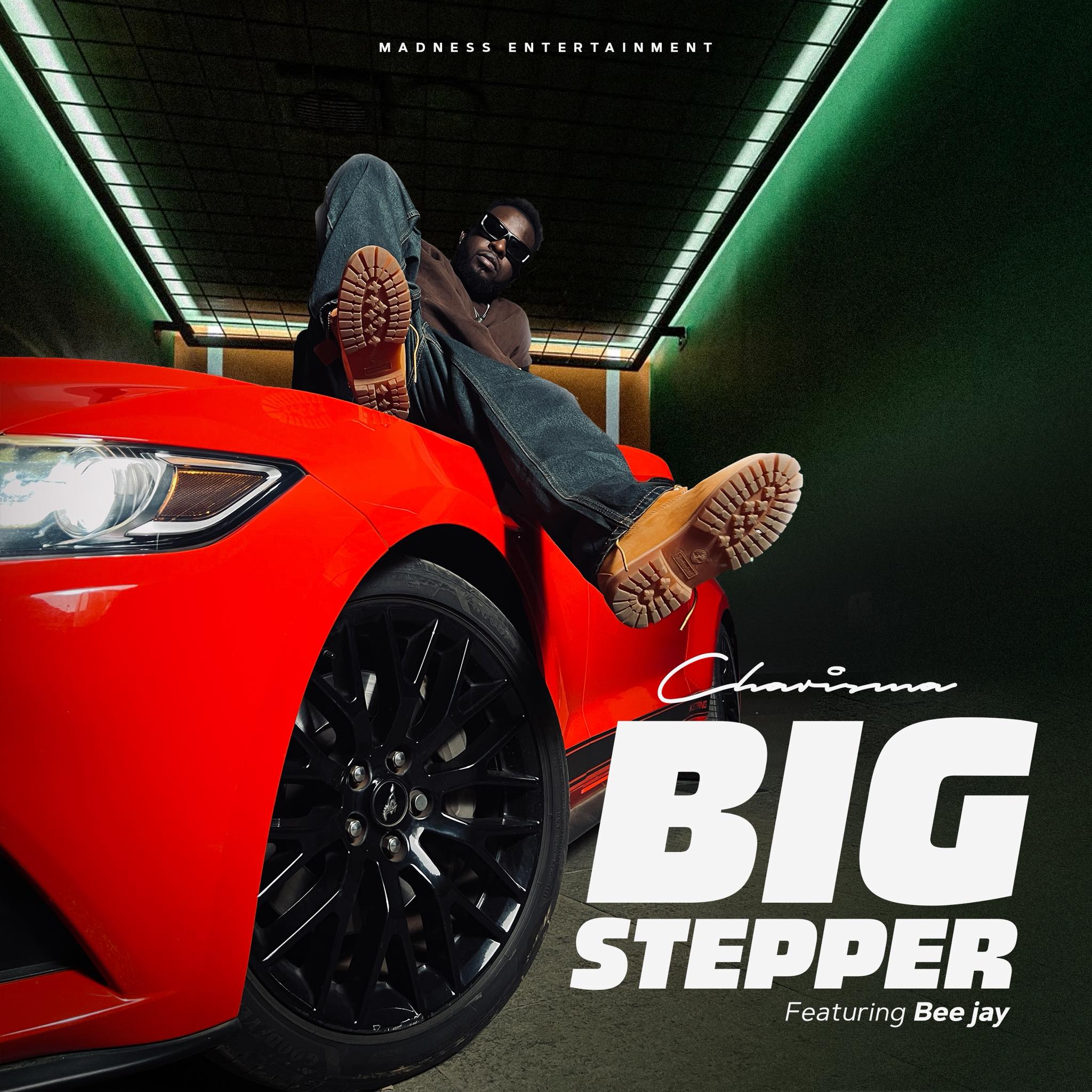 Big Stepper
