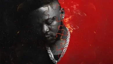 Medikal - Disturbation 2 Album