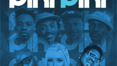 Mustbedudz, Linktonto, Skiibii & Xman Rsa ft. Skales, Soul Barbie, Sgijalo Musiq & Gentle Slope – Piki Piki (Remix)