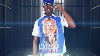 Stable Dollar - Mr and Mrs Bwana