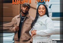 Vinchenzo ft. Lady Zamar - Right Now