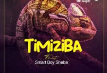 Drimz ft. Smart Boy Sheba - Timiziba