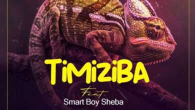 Drimz ft. Smart Boy Sheba - Timiziba