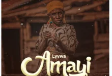 Lyvwa - Amayi
