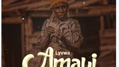 Lyvwa - Amayi