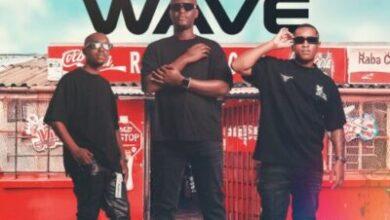 Blacks Jnr ft. Dankie Boi, Goldmax & TNS – Shona Phansi (Amnandi Amagwinya)