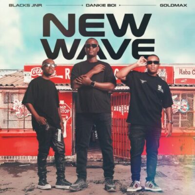 Blacks Jnr ft. Dankie Boi, Goldmax & TNS – Shona Phansi (Amnandi Amagwinya)