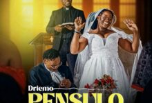 Driemo - Pensulo