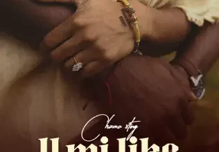 Chizmo Sting - U Mi Like