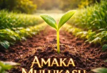 BrokenHill Emmy ft. Tiger Tonka - Amaka Mulukasu