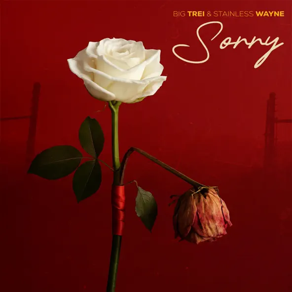 Big Trei ft. Stainless Wayne - Sorry