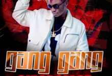 Sky Dollar - Gang Gang