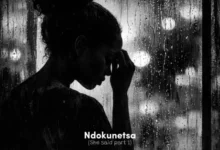 Kae Chaps - Ndokunetsa