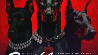 DJ Sicky ft King P, Mr Nation Thingz, Augusto Mawts, Cuba Beats, ExzyBeatz & DJ Sickoo – Sezihlangene