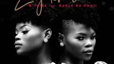 Q Twins ft. Kabza De Small – Ziyakhala