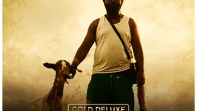Sjava – Luhle Ngani