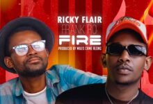 Ricky Flair ft. Frank Ro - Fire