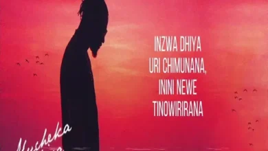 Jah Prayzah – Mucheka Wejira