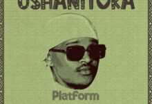 Platform – Ushanitoka