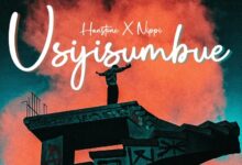 Hanstone & Nippi – Usijisumbue