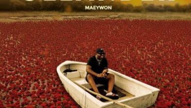 Maeywon & Murumba Pitch ft. Rehsa & Spaceboy Mercury – TIP (Trouble In Paradise)