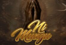 Platform ft. Mr Seed – Ni Mungu