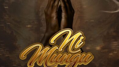 Platform ft. Mr Seed – Ni Mungu